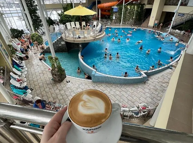 ホテル Alinalex - Paradisul Acvatic