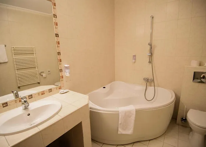 Alinalex - Paradisul Acvatic 3* ブラショフ